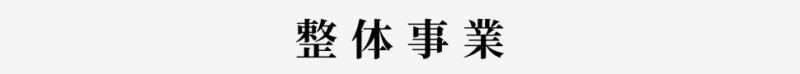 整体事業